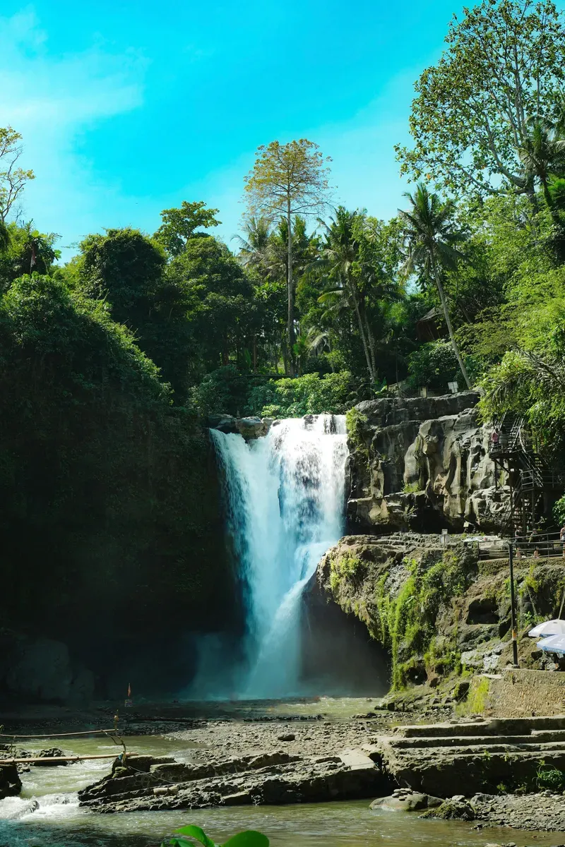 Ubud view 3